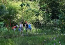 12 best hiking trails in Singapore for nature-lovers