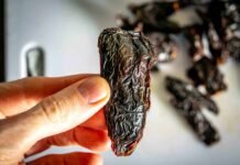 Chile Morita Salsa | Mexican Please