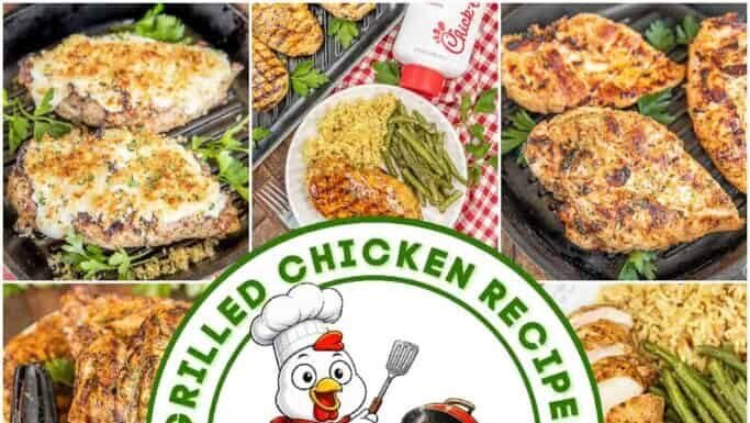 Easy Grilled Chicken Recipes – Plain Chicken