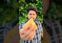 Samosa recipe || Market vs homemade samosa