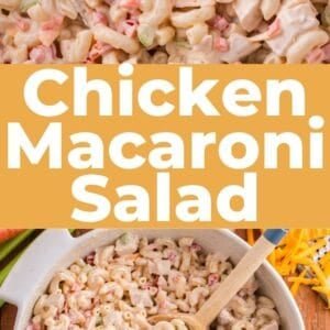 Creamy Chicken Macaroni Salad Recipe