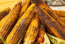 Corn on the Grill: Three Ways to Do It Right