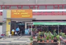 Pin Xiang Wanton Mee: The spicy star of Toa Payoh from Ipoh