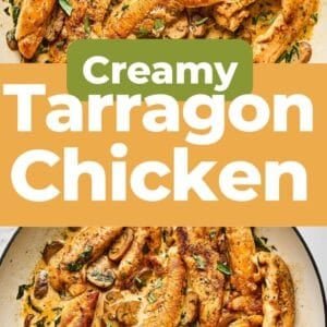 Creamy Tarragon Chicken Recipe – Easy Chicken Recipes