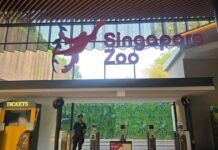 Singapore Zoo: guide including ticketing, itinerary & showtimes
