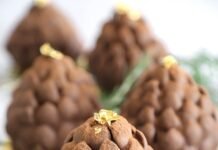 Chocolate Hazelnut Pinecone Brownies