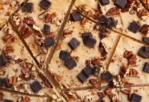 Protein Yogurt Bark With Chocolate and Pumpkin